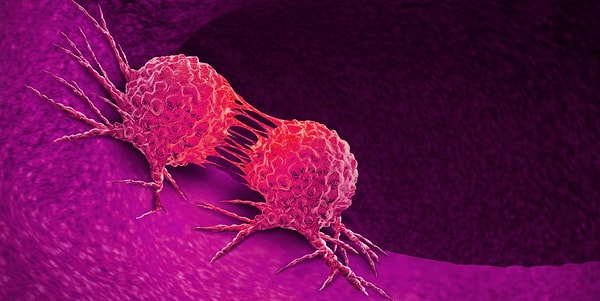 According to a study conducted by British scientists, it has been observed that the incidence of certain types of cancer, such as liver and stomach cancer, has decreased in individuals under the age of 50.