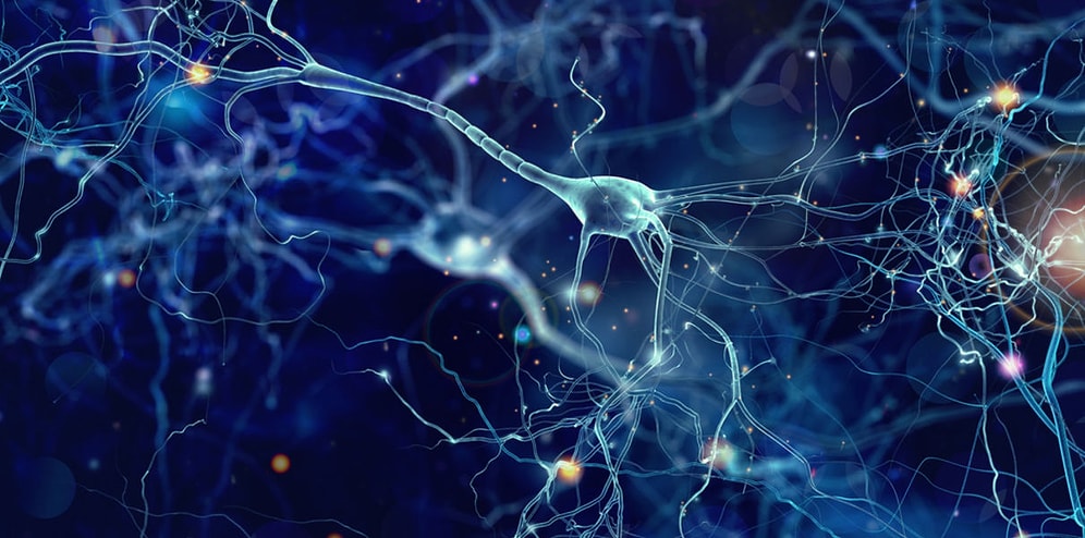 Chinese Scientists Explain: 3 Exercises That Will Help Regrow Your Brain Cells