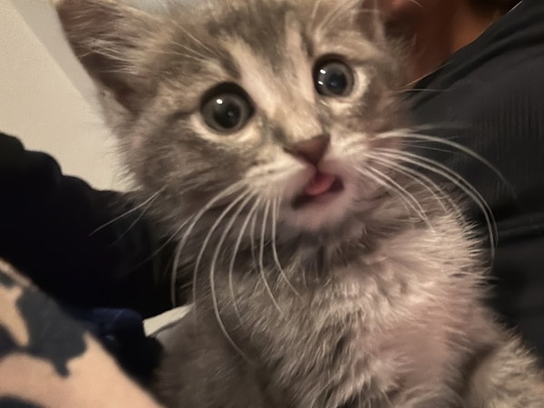 9. Bu bebeğin adını biliyor musun?