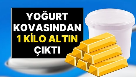5 Kiloluk Yoğurtların İçinden 1 Kilo 241 Gram Altın Çıktı