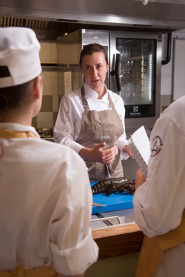 Saha Gezileri ve Uluslararası Deneyim