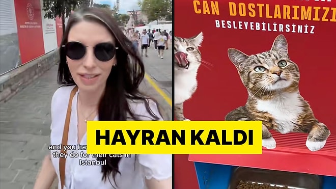 İstanbul'u Ziyaret Eden Bir Turist Sokak Kedileri İçin Yapılan Mama Otomatına Çok Şaşırdı