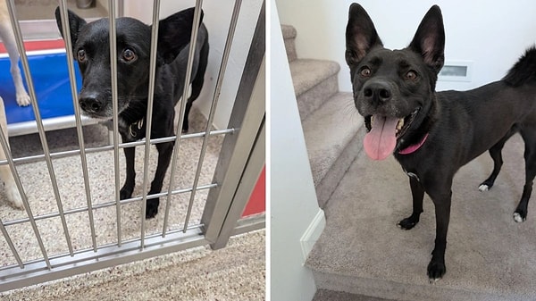 3. Sadece yüzünün nasıl güldüğüne bakın...