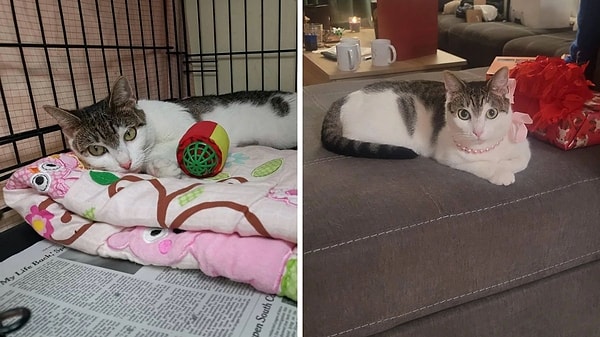 6. Farkındaysanız yargılayıcı bakışından bir an olsun vazgeçmemiş.