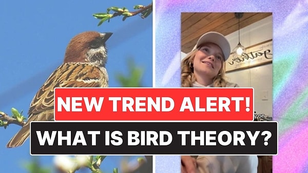 Everyone's Talking About It: What Is the "Bird Theory" That's Going Viral on TikTok?