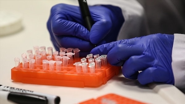 What is the M Flower Virus?