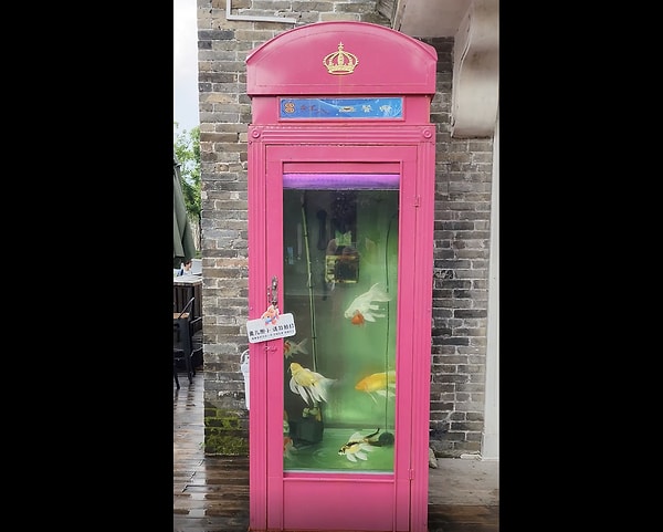 12. Graham Bell'in gözü yaşlı!