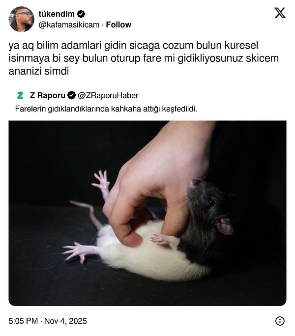 Bilim insanları biraz ciddiyet...