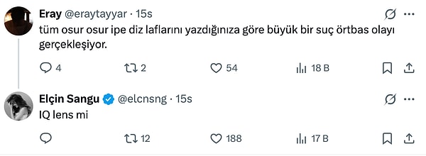 Bir X kullanıcısının “çok süslü konuştun, demek ki arka planda daha büyük bir şey var” iması ise Elçin Sangu'yu sinirlendirdi.