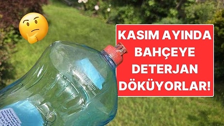 İngilizler Neden Kasım Ayında Bahçelerine Deterjan Döker?