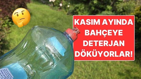 İngilizler Neden Kasım Ayında Bahçelerine Deterjan Döker?