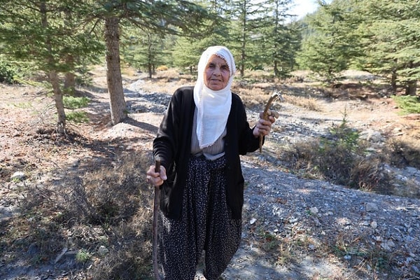 Sabah ezanında ormana giden kadınlar, evlerine ekmek götürüyor.