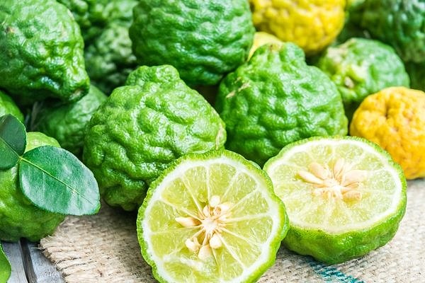 Bergamot