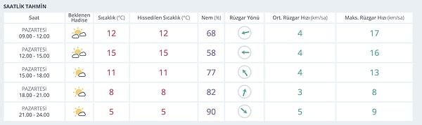 17 Kasım Pazartesi Diyarbakır Hava Durumu