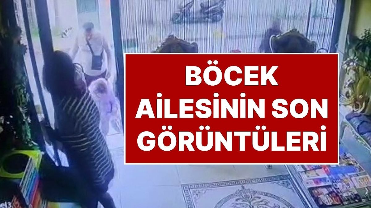 Fatih&apos;te Zehirlenen Böcek Ailesinin Son Görüntüleri Ortaya Çıktı