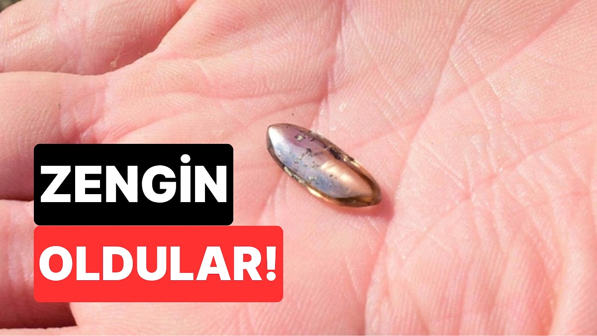 Ucuz Bir Hırdavat Mağazasından Aldıkları Aletle 2.79 Karatlık Elmas Bulan Aile