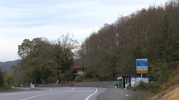 Tarım ve Orman Müdürlüğü ekiplerinin yaptığı inceleme sonrasında İstanbul’un Şile ilçesindeki hayvanlarda şap hastalığı tespit edildi.