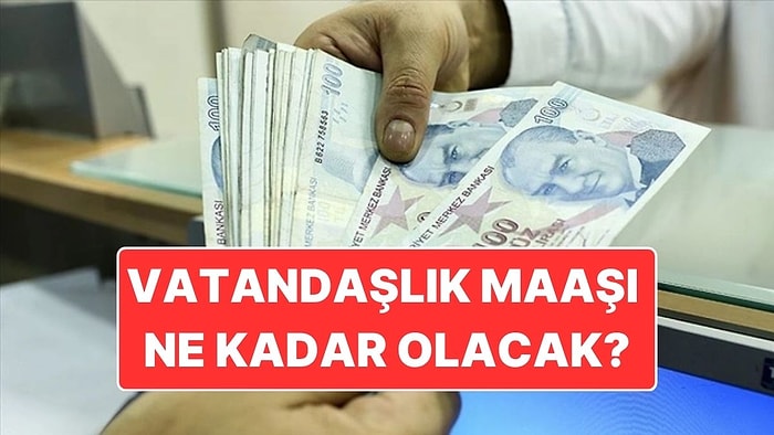 Vatandaşlık Maaşı Nedir? Vatandaşlık Maaşı Ne Kadar, Kimlere Verilecek?