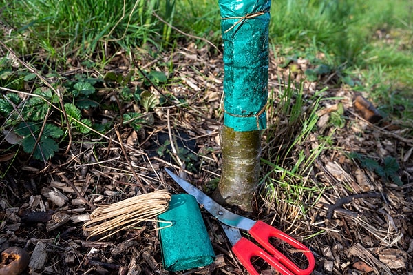 Bu yöntem, kimyasal böcek ilaçlarına kıyasla çevre dostu ve toksik olmayan bir alternatif sunar.
