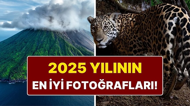 National Geographic 2025'in En İyi Fotoğraflarını Seçti: Kadraja Yansıyan 25 Unutulmaz An