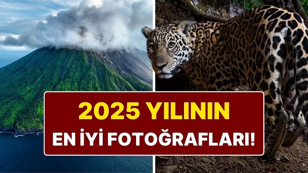 National Geographic 2025'in En İyi Fotoğraflarını Seçti: Kadraja Yansıyan 25 Unutulmaz An