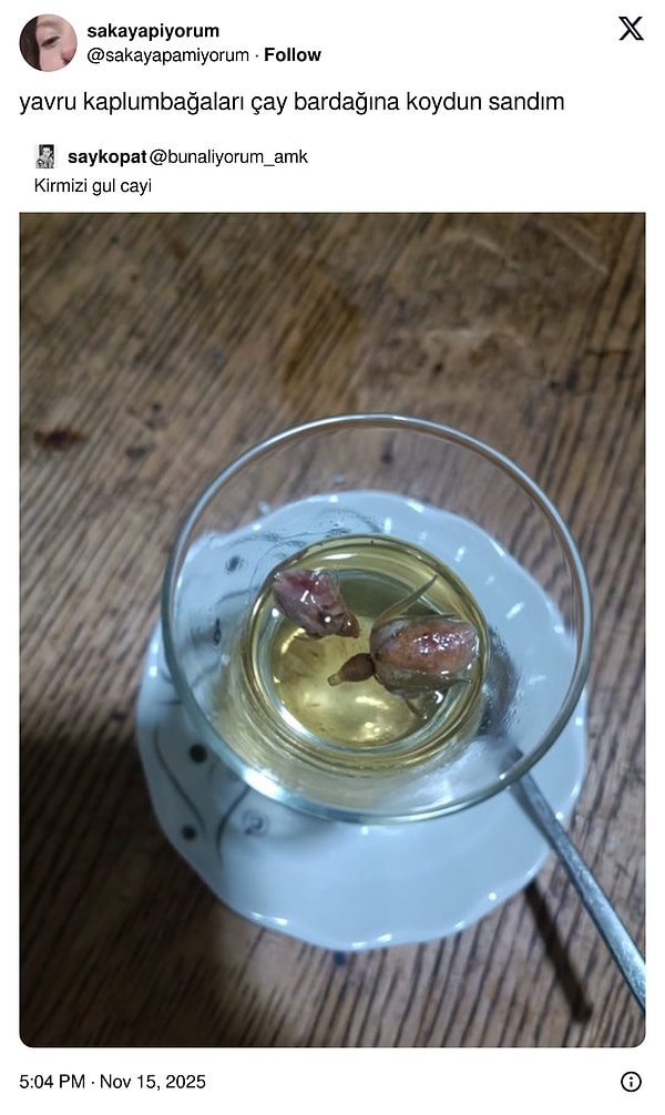 Haftaya görüşmek üzere! 😂