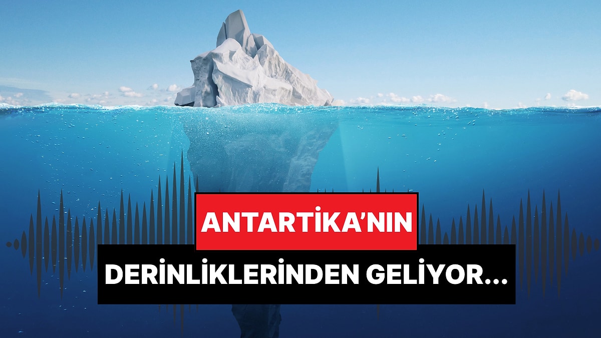 Buzun Derinliklerinden Geliyor: NASA Antarktika&apos;nın Esrarengiz Radyo Sinyallerini Çözmeye Çalışıyor