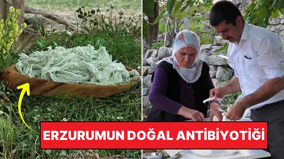 Fransa'da Olsa Beğenirsiniz! Erzurum'un Gizli Şifası Küflü Peynir