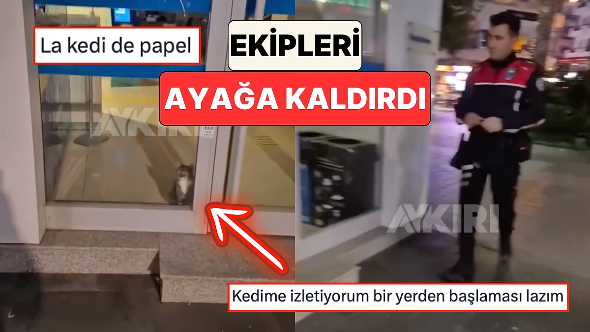 Aydın&apos;da Bir Bankanın Alarmlarının Çalması Üzerine Olay Yerine Giden Polis Kapıda Kedi ile Karşılaştı