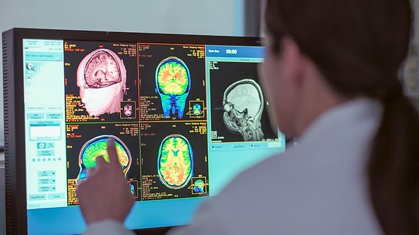 Brain development is divided into five main stages, taking pivotal turns at four critical ages.