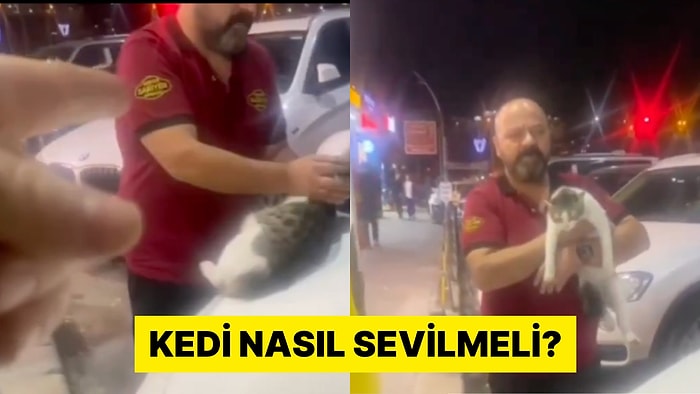 İstanbul'da İki Kişi Arasında "Kedi Sevme" Tartışması Yaşandı