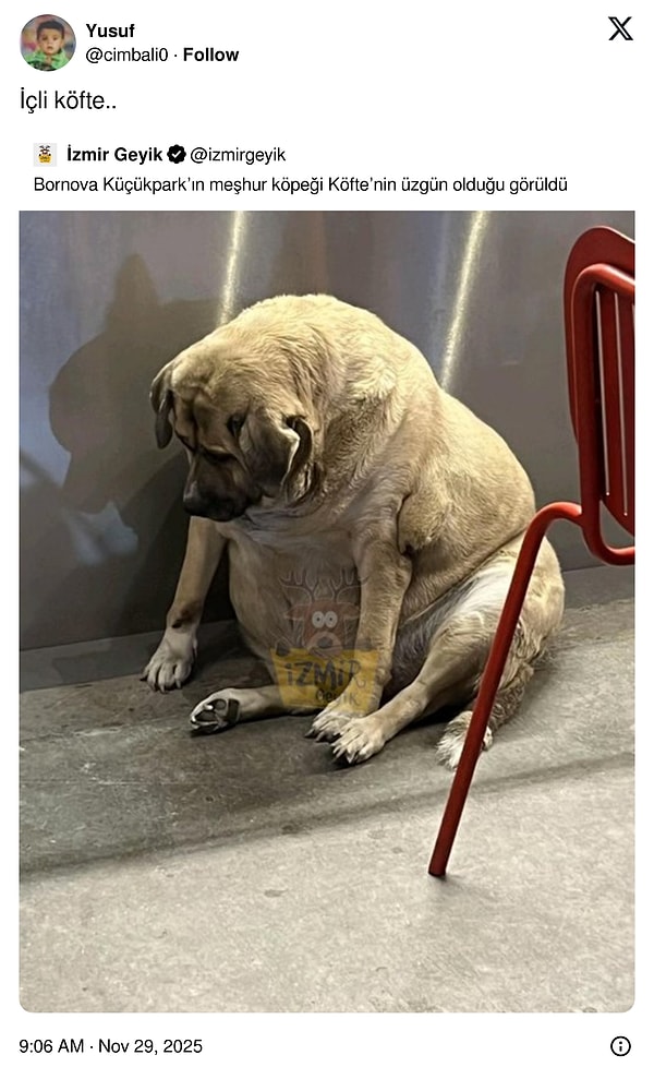 Biri gidip derdini sorabilir mi?