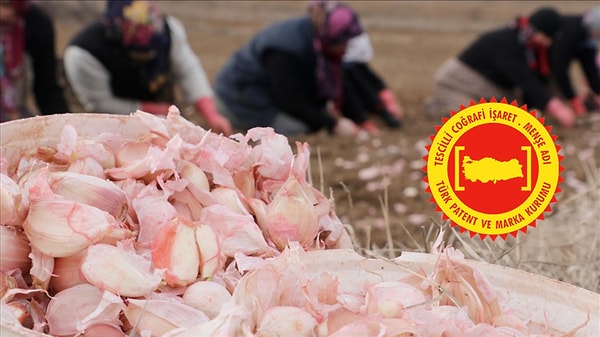 Coğrafi işaretle tescillenmesi ona resmi bir kimlik kazandırıyor.