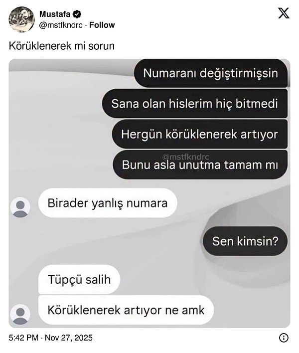Yapacağın edebiyata...