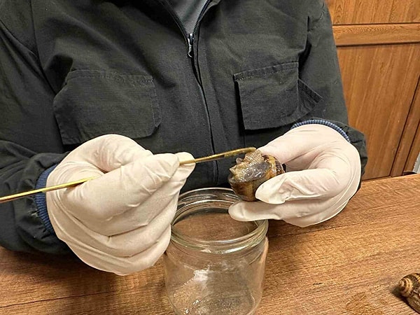 Çiftlik modeli sıfır atık prensibiyle tarım sektörüne de katkı sağlıyor.