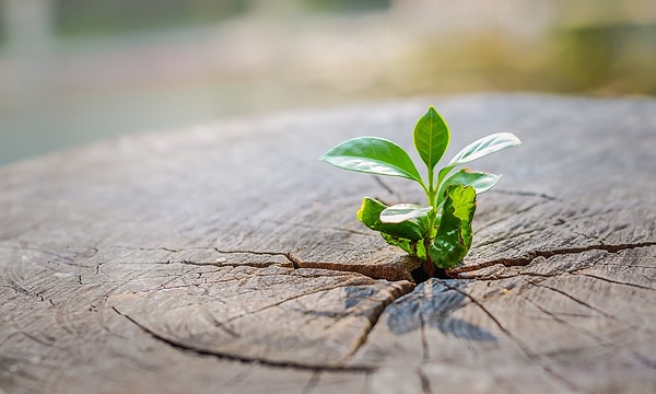 5. Değişim seni nasıl etkiler?