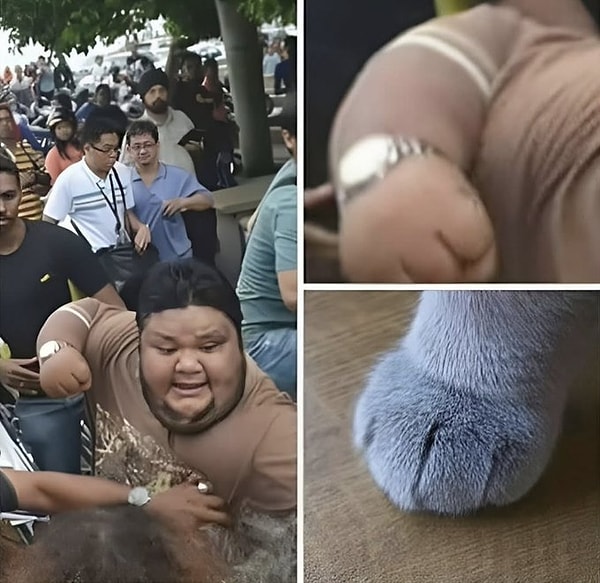 Tutmayın küçük enişteyi.