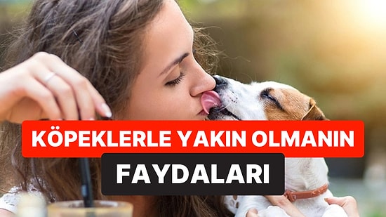 Bilim İnsanları Açıkladı: Köpeklerin Sahibini Yalaması Ruh Sağlığını Güçlendiriyor
