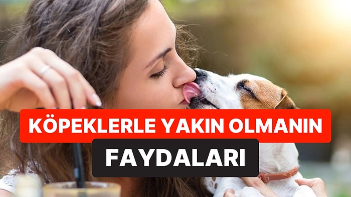 Bilim İnsanları Açıkladı: Köpeklerin Sahibini Yalaması Ruh Sağlığını Güçlendiriyor