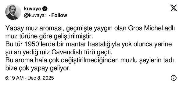 Muza dair bir bilgi...