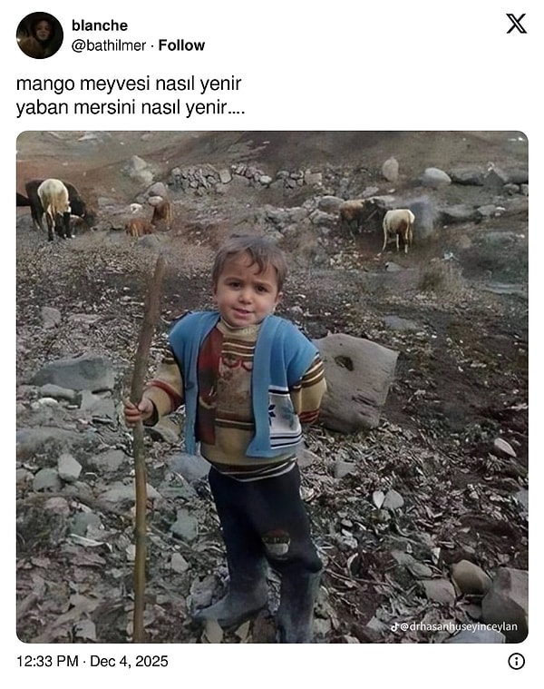 Spotify ile birlikte Google'da aratılanlar da goygoy malzemesi olmuştu.