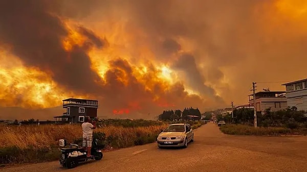 Türkiye’de yaz aylarında birçok orman yangını yaşandı.