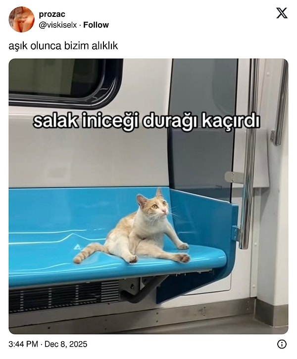 Yanıtlar gecikmedi.