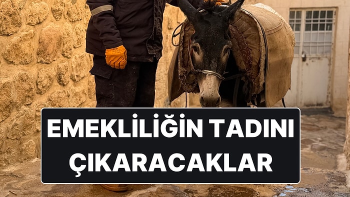 Mardin’in "Kadrolu Eşekleri" Emekli Olacak: Her Sabah Saat 04.00’te İşe Başlıyorlardı