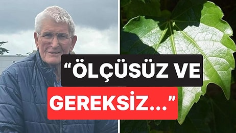 86 Yaşındaki Adam, Ağzına Kaçan Yaprağı Yere Tükürdüğü Gerekçesiyle 14 Bin Lira Para Cezasına Çarptırıldı