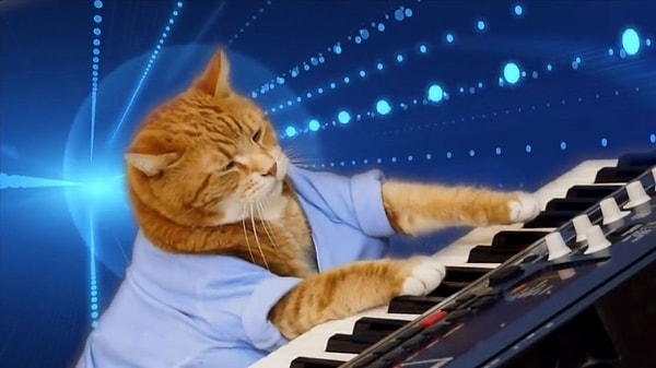 Keyboard Cat