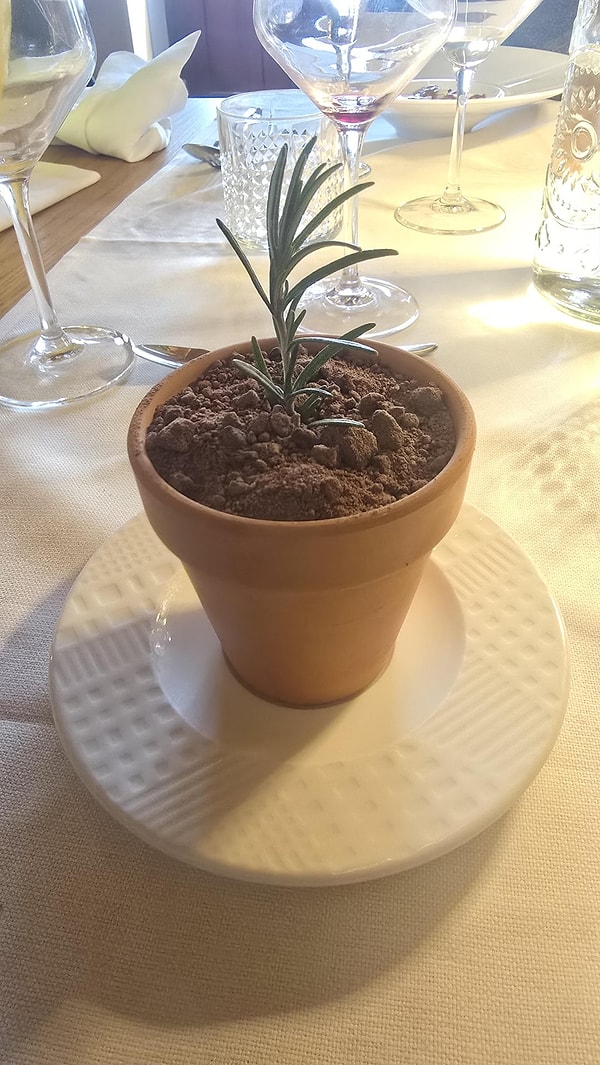 2. Sunum dünyası doğadan ilham almaya devam ediyor...