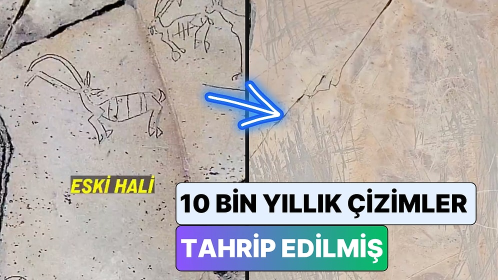 Tarih Yok Ediliyor: Kars'ta 10 Bin Yıllık Resimler Üzeri Kazınarak Tahrip Edilmiş