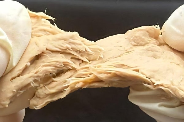 Hayvansal protein üretiminin çevreye verdiği zarar uzun süredir tartışma konusu.