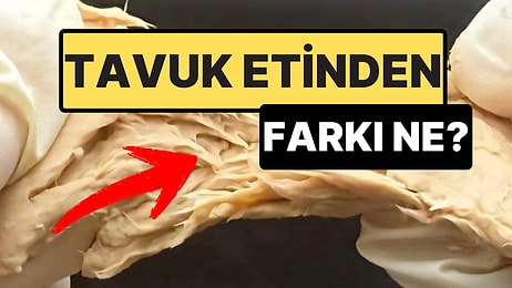 Laboratuvarda Üretilen “Mantar Eti” Tavuk Etine Güçlü Bir Alternatif Olabilir